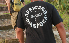 Africans in the diaspora