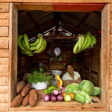 Produce market, Barahona