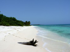 卡特琳娜岛（Isla Catalina）