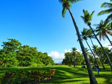 多拉达海滩高尔夫俱乐部（Playa Dorada Golf Club）