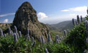 Monumento Natural de los Roques